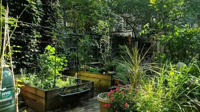11th Street Community Garden