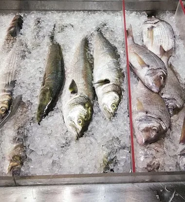 183 Fish Market