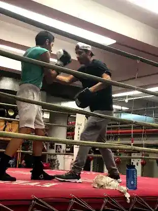 1 on 1 Knockout