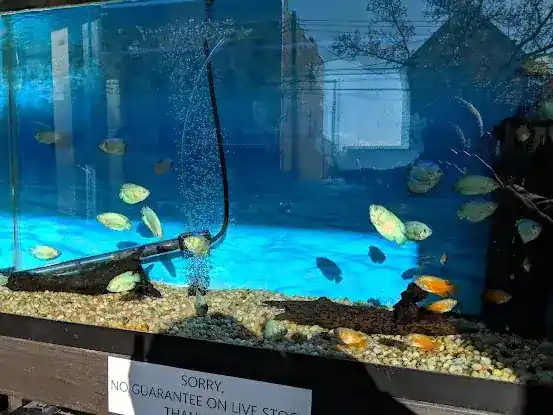 1st Class Aquarium