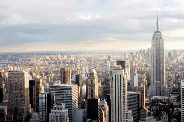 247 NYC Realty