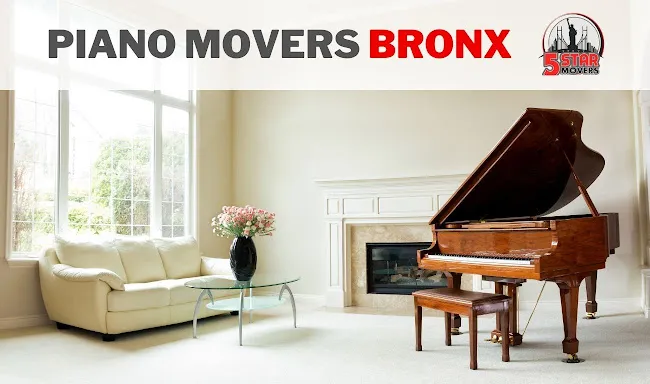 5 Star Movers LLC - Bronx Moving Company