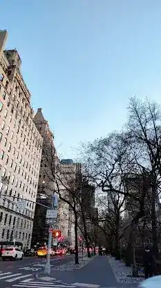 834 Fifth Avenue