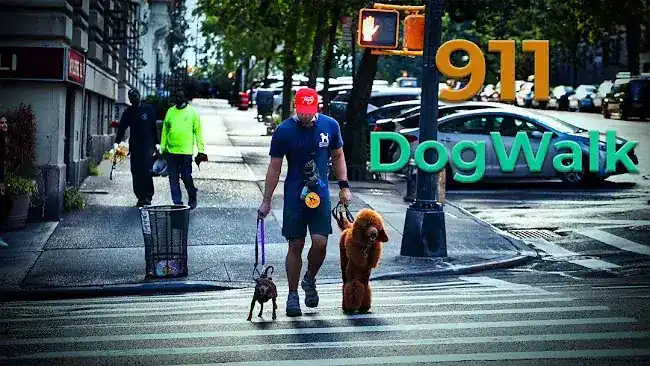 911 Walkers