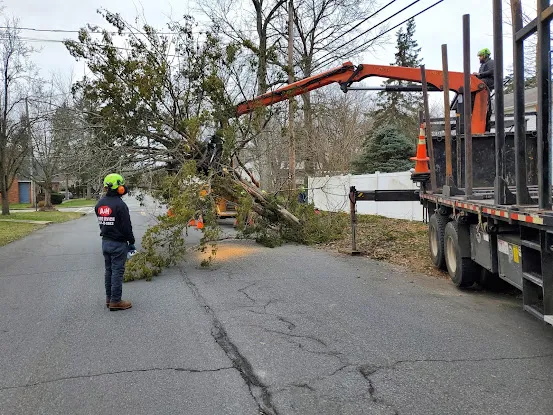 A and H Tree Service