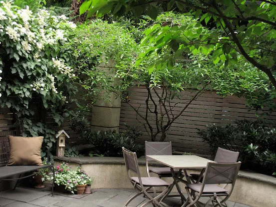 A Garden in Chelsea