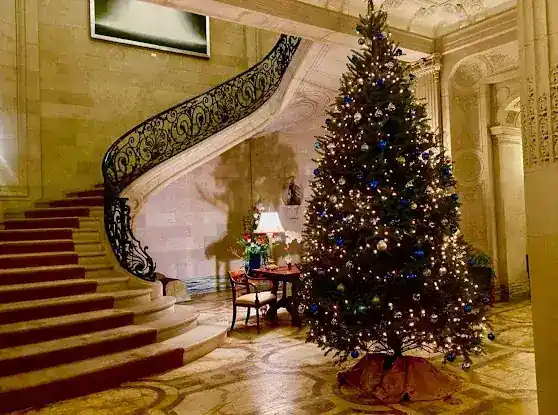AA Christmas Trees