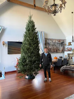 AA Christmas Trees