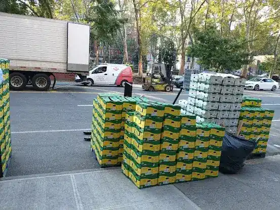 AAA AVOCADOS INC
