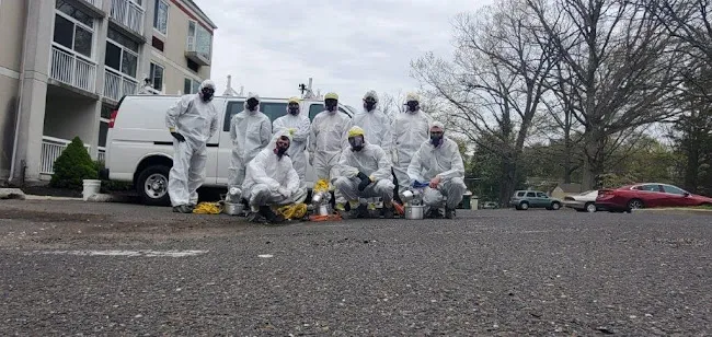 AAA Lead Professionals