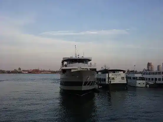 Above All Cruises