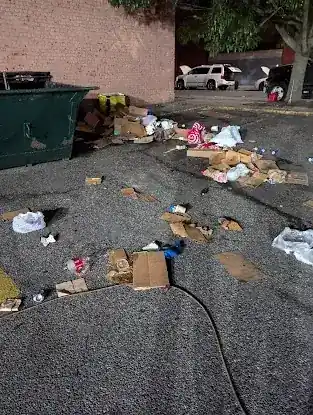 Action Environmental Services