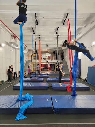 Aerial Arts NYC