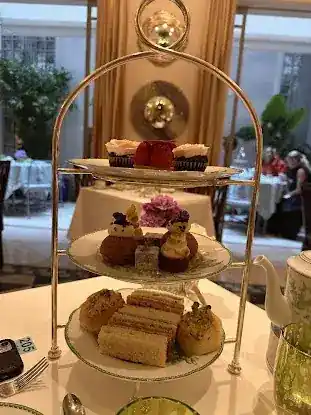 Afternoon Tea at Majorelle