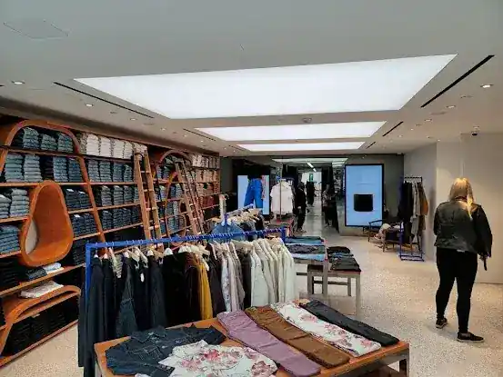 AG Jeans