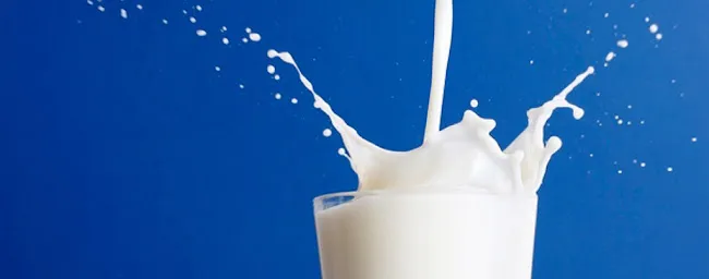 Agri-Dairy, Inc.