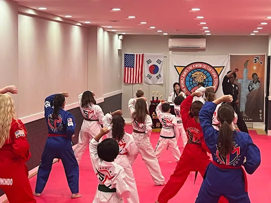 Ahn's Taekwondo NYC