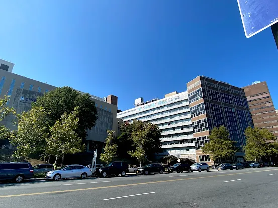Albert Einstein College of Medicine