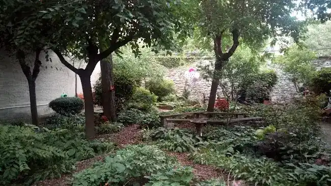 Albert's Garden