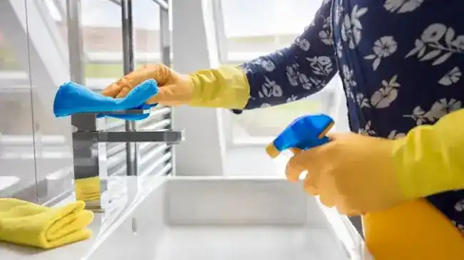 Alcazar Cleaning Service