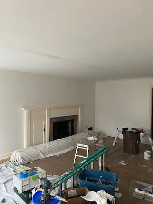 ALEX PAINTING & PLASTER LLC