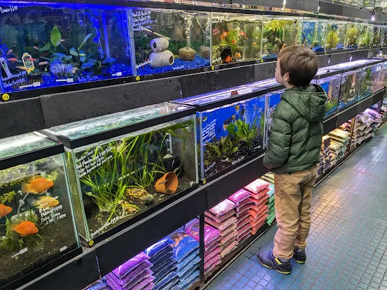 All in 1 Petshop