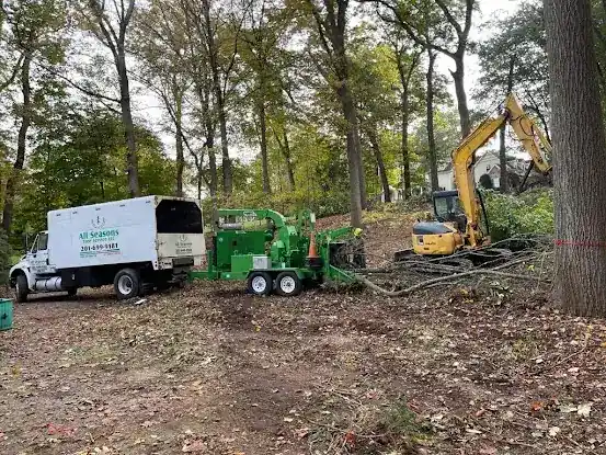 ALL Seasons Tree Services