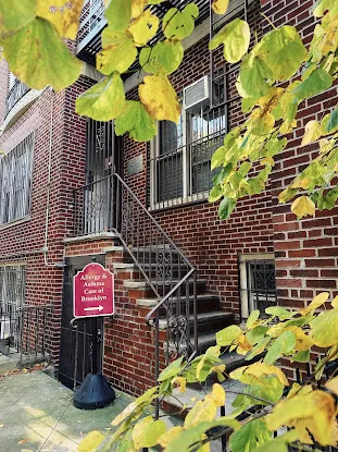 Allergy & Asthma Care Of Brooklyn