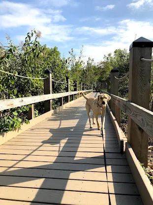 Alley Pond Environmental Center