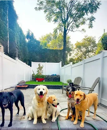 Allforthewag