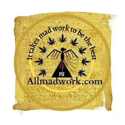 Allmadwork