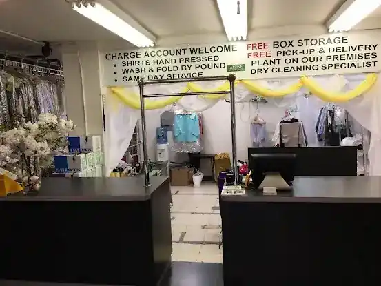 Alpine Cleaners