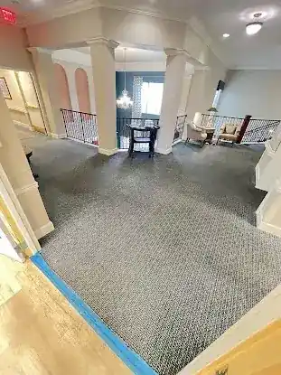 Altra Steam Scrub Rug Cleaning