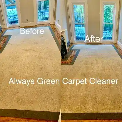 Always Green Carpet Cleaner NYC