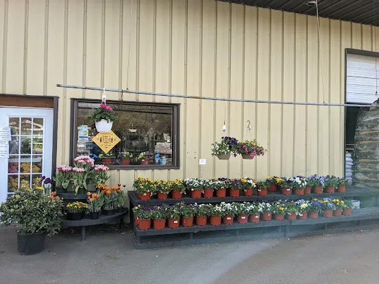 American Nursery