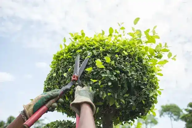 AMERICAN PROPERTY MAINTENANCE SERVICES INC.