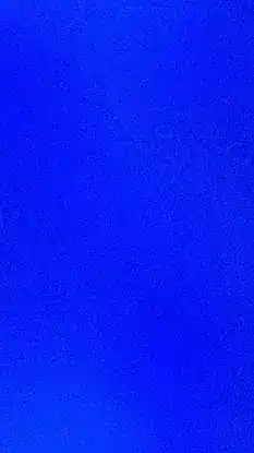 Amero Bluehair