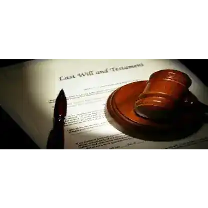 Aminov Law Estate & Probate Lawyer Astoria
