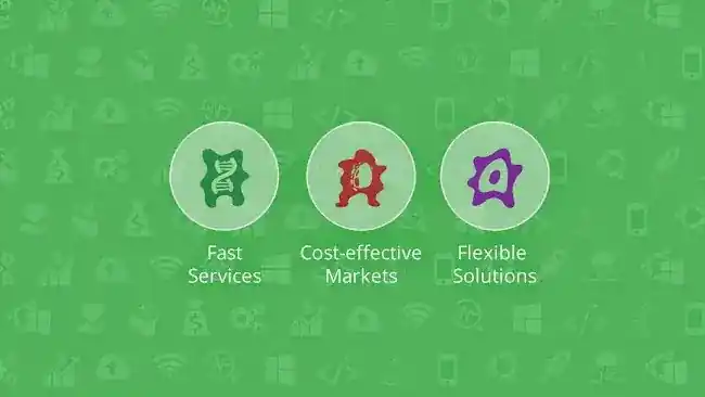 Amoeba Networks