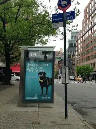 Amsterdam Av/W 77 St