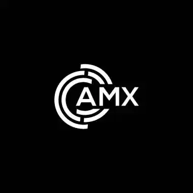 A.M.X. CONSULTANTS, LLC