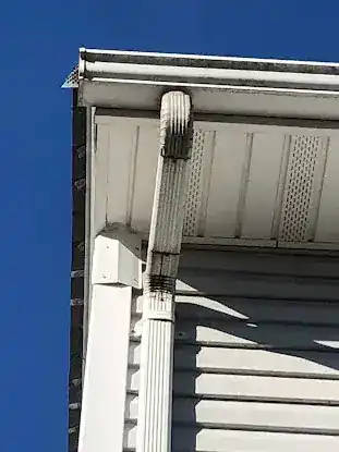 Anchor Pest Control