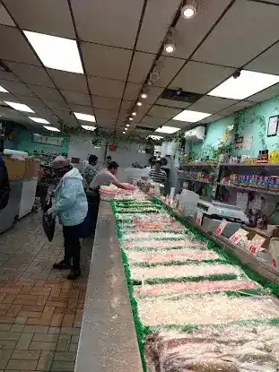 Angel Fish Market