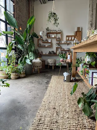 Anima Mundi Apothecary