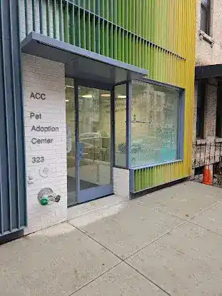 Animal Care Center Pet Adoption Center