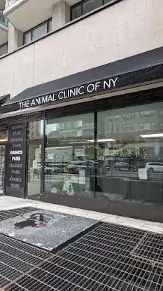 Animal Clinic of New York