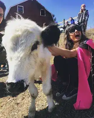 Animal Communication with Rachel