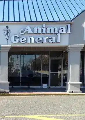 Animal General