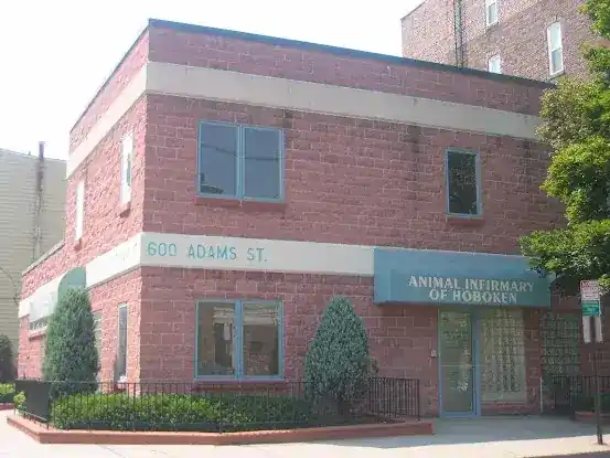 Animal Infirmary of Hoboken