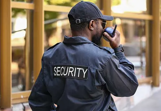 Anpu Security Services